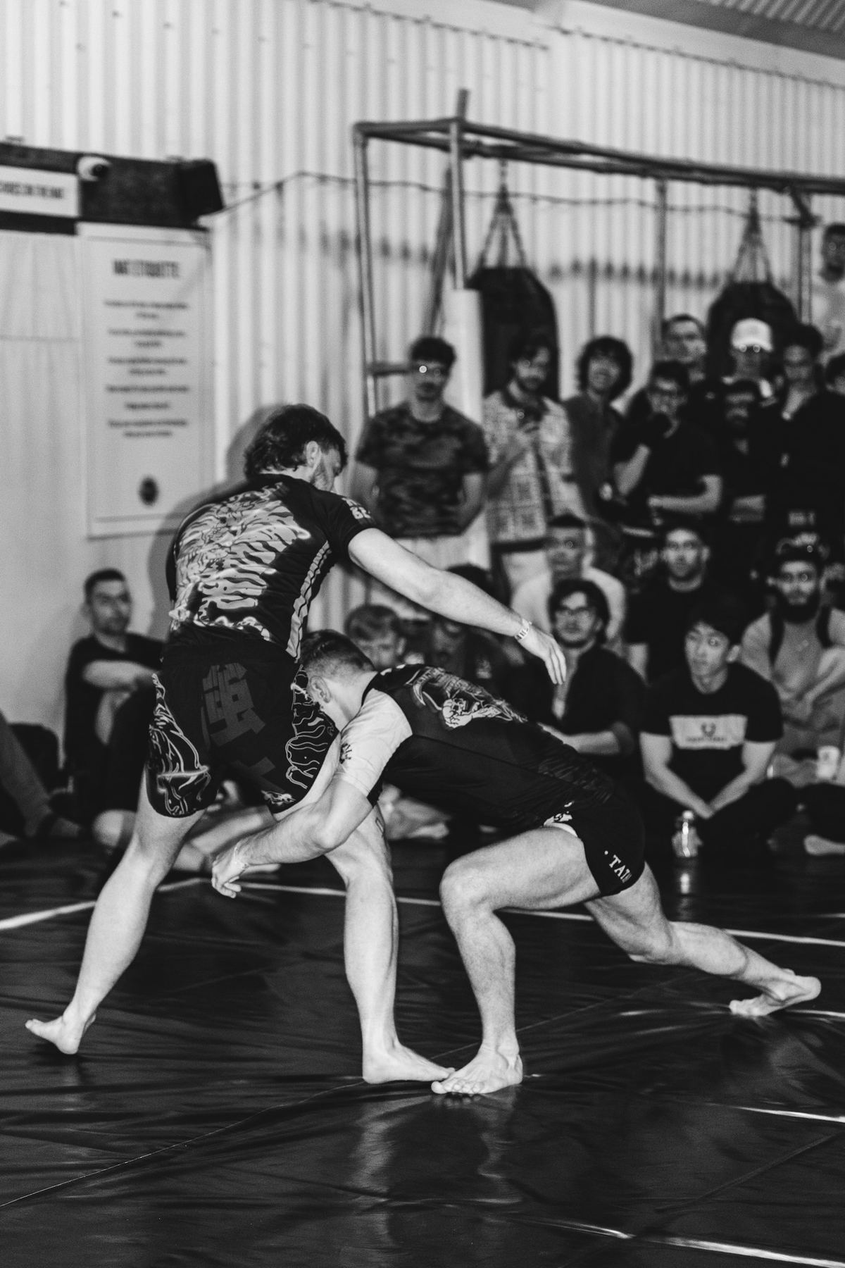 Two adults grappling no-gi
